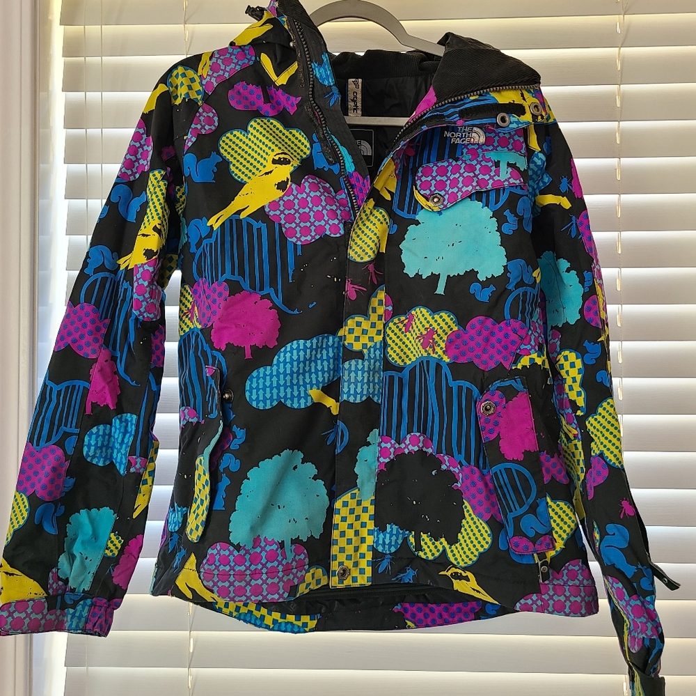 North Face Ski Jacket
